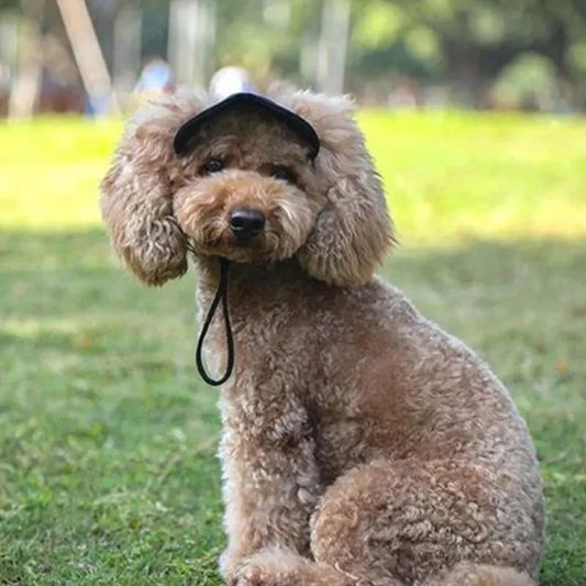 Doggo Hoed Puppy Zomerkap van Massief Oxford Stof