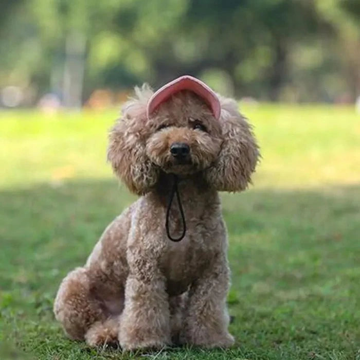 Doggo Hoed Puppy Zomerkap van Massief Oxford Stof